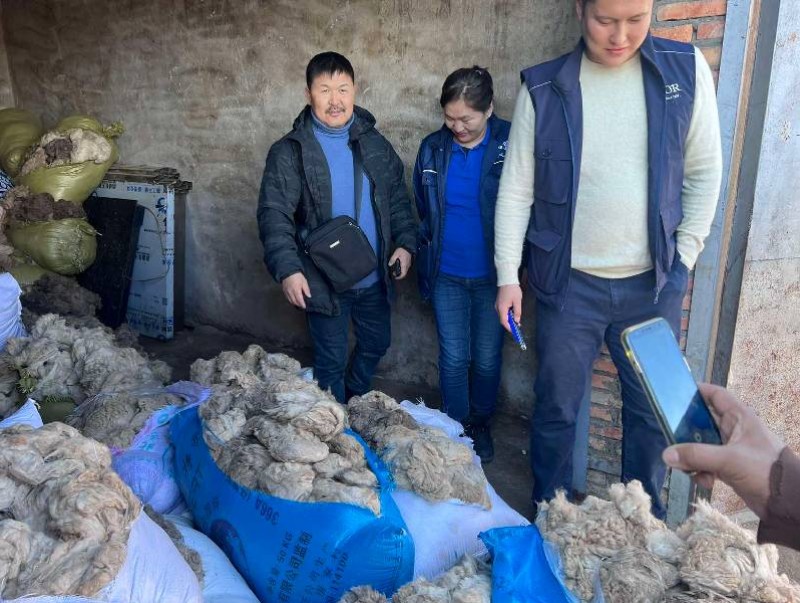 Дорнод аймгийн Матад сумын ноолуур дуудлага худалдаагаар 173.500 төгрөгөөр арилжигдлаа