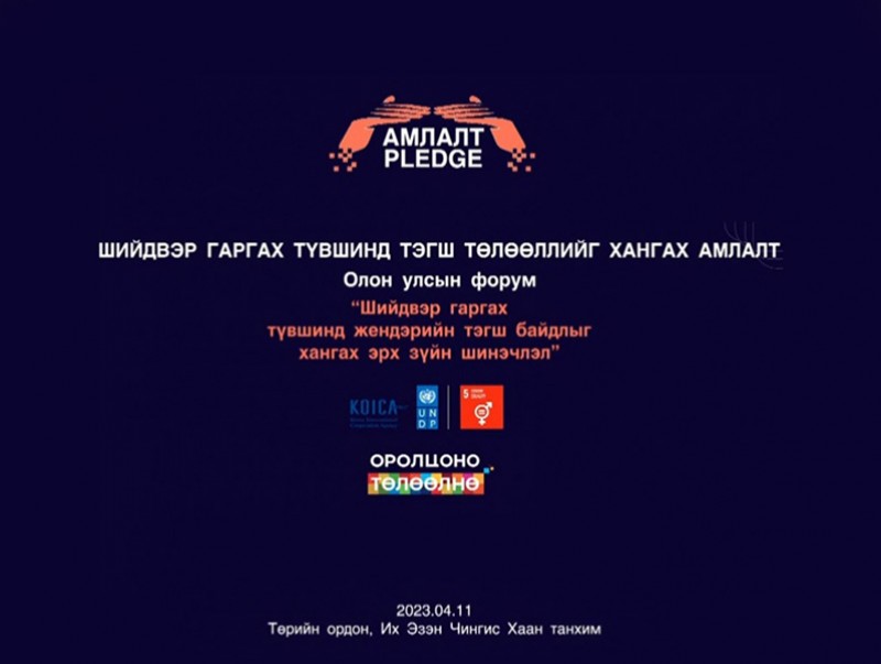 “Шийдвэр гаргах түвшинд тэгш төлөөллийг хангах амлалт” Олон улсын форум