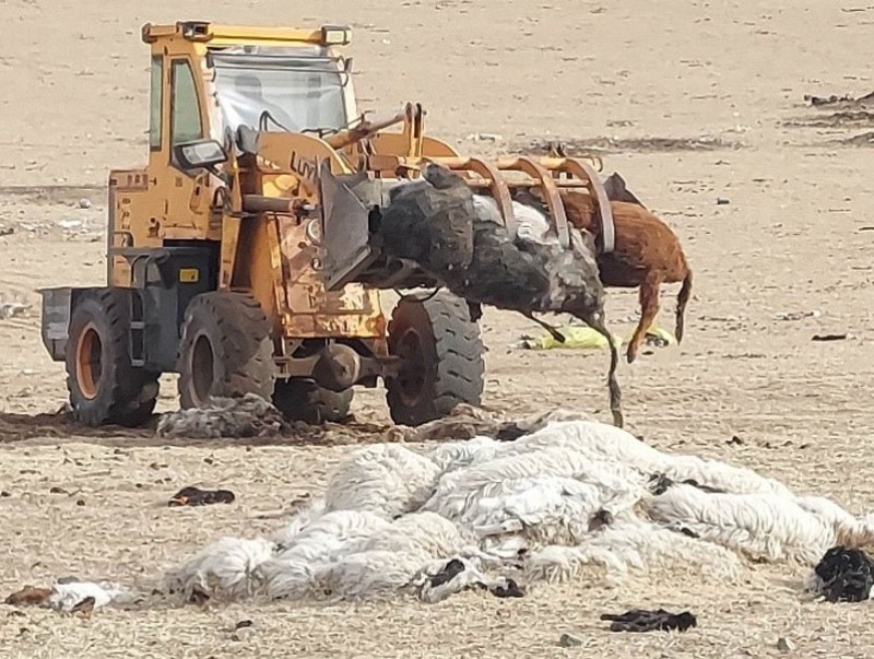 Хануй голын сав газрын захиргаа 2 аймгийн 5 сумдын нутагт цэвэрлэгээний ажил зохион байгууллаа