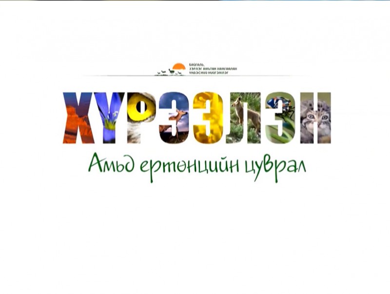 Хүрээлэн: “Ой” тусгай дугаар