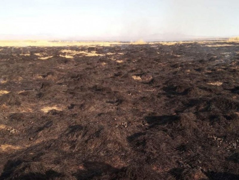 Сүүлийн гурван өдрийн хугацаанд 9 удаагийн ой, хээрийн түймрийн дуудлага бүртгэгдлээ