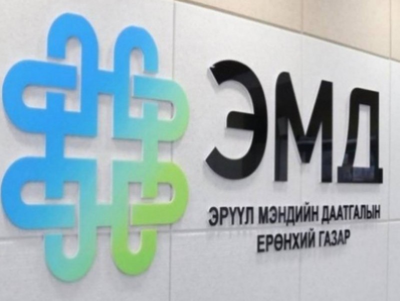 Мэдрэлийн цахилгаан бичлэг, мэдрэхүйн дуудлагат потенциалын шинжилгээний 70 хувийг ЭМД-ын сангаас хөнгөлнө