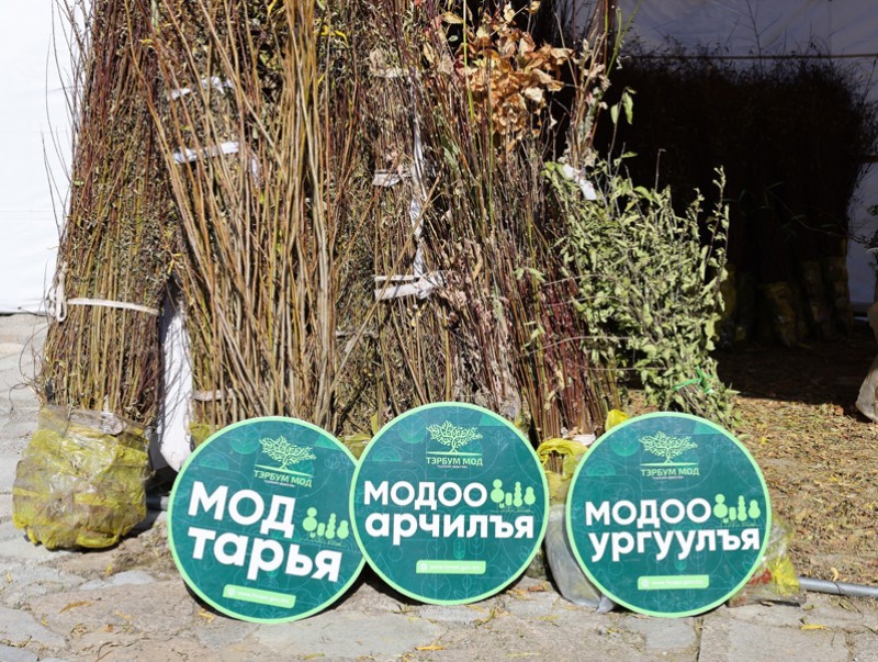 “Тэрбум мод” үндэсний хөдөлгөөнийг урлаг, соёл, спортын алдартнууд дэмжиж байна
