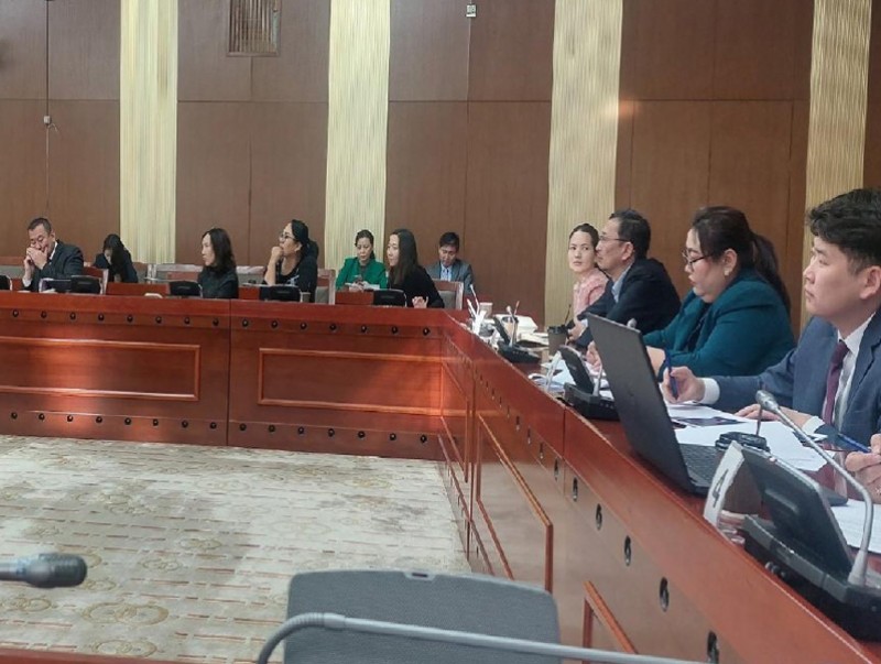 Ноолуурын боловсруулалт, худалдаанд мөрдөх техникийн зохицуулалтыг хэрэгжүүлэхийг дэмжлээ
