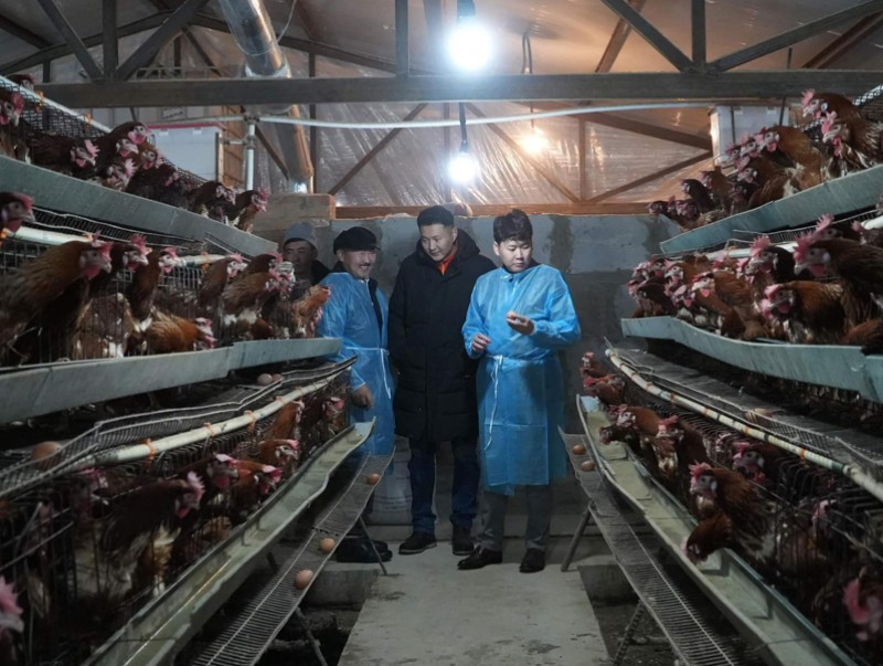 "Хэрлэн Өндөг" тахианы аж ахуйн үйл ажиллагаатай танилцлаа