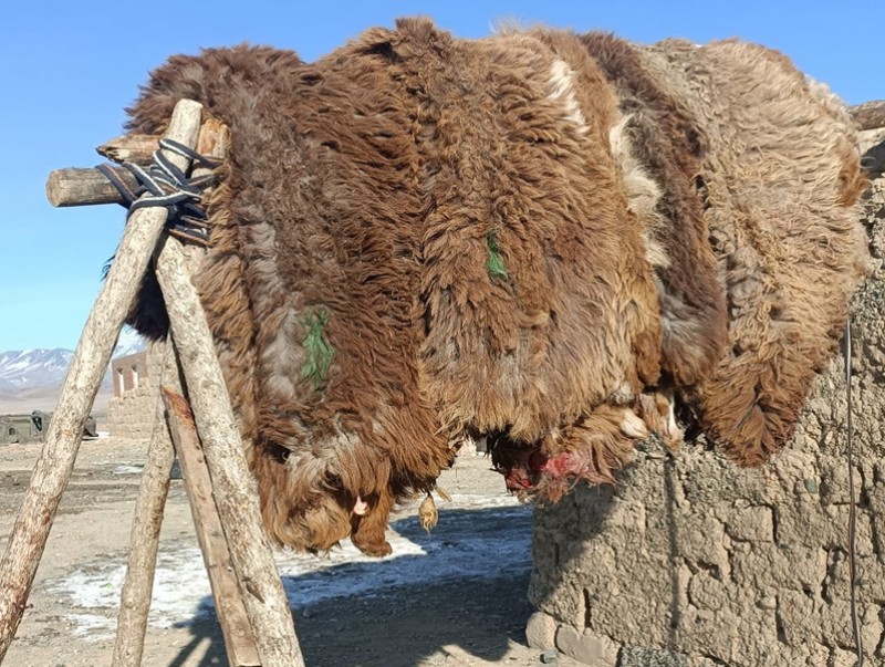 Малчид малынхаа түүхий эдийг үндэсний үйлдвэрлэгчдэд шууд нийлүүлэхийг хүсэж байна