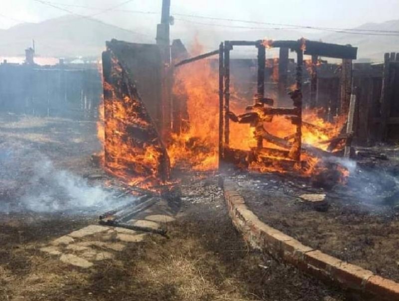 Нийт 50.5 тонн өвс шатжээ