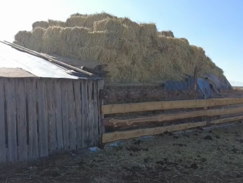 Баянхонгор аймагт өвөлжилтийн бэлтгэл 86.2 хувьтай байна