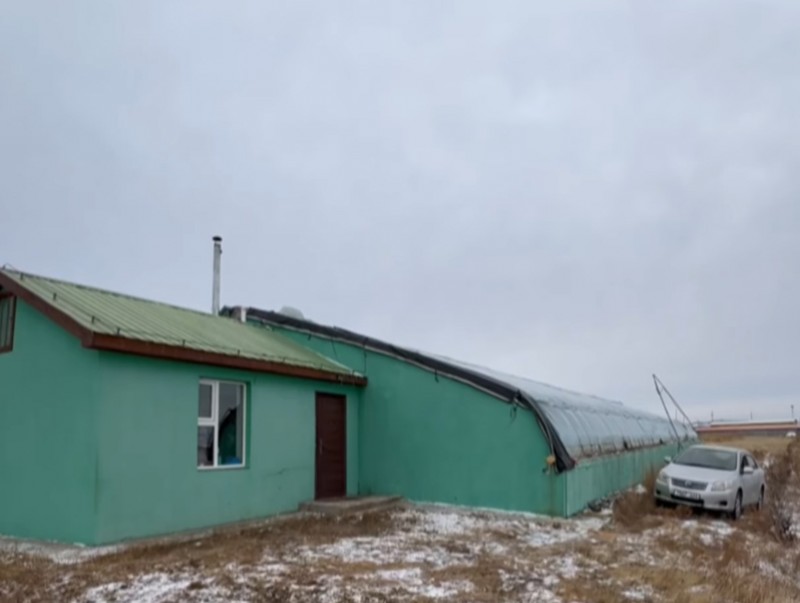 "Ургац ерөө" хоршоо 10 гаруй төрлийн хүнсний ногоо тариалжээ