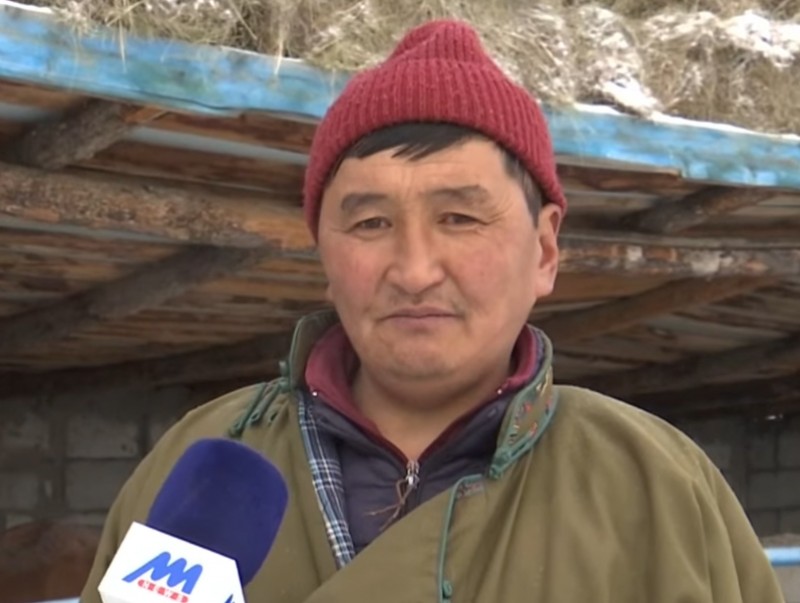 Малчид "Шинэ хоршоо"-ноос авсан зээлээрээ өвлийн бэлтгэлээ хангаж, малаа чанаржуулжээ