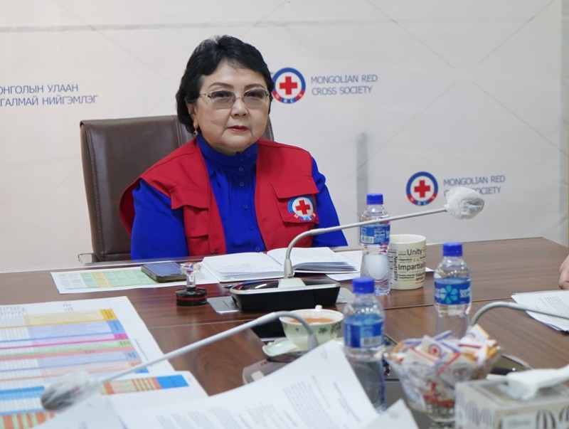 Монголын улаан загалмай нийгэмлэг өнгөрсөн жил 251 сумын 13 мянга орчим малчин өрхөд тусламж үзүүлжээ
