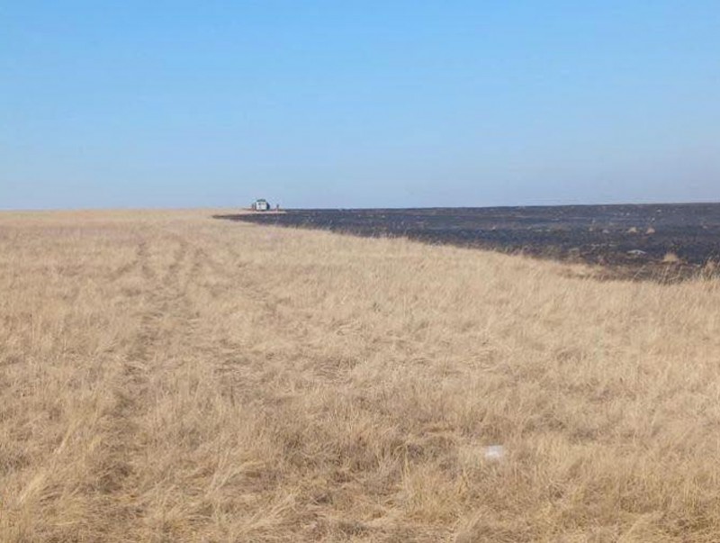 Хээрийн түймэрт урьдчилсан байдлаар 24 га талбай өртсөн байна