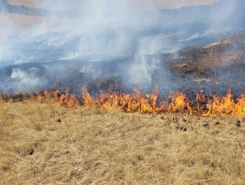 Шар өвс шатсан 19 дуудлага бүртгэгджээ