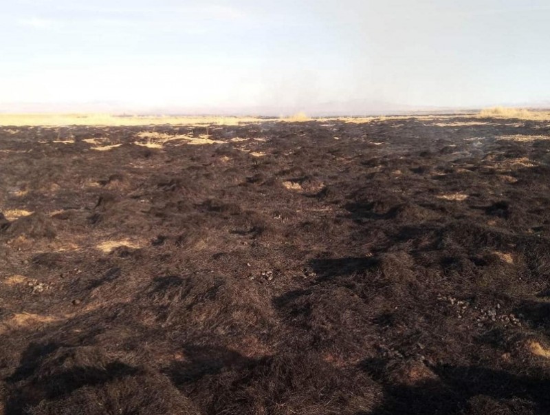 Дорнод, Хэнтий аймагт гарсан хээрийн түймрийг бүрэн унтраалаа