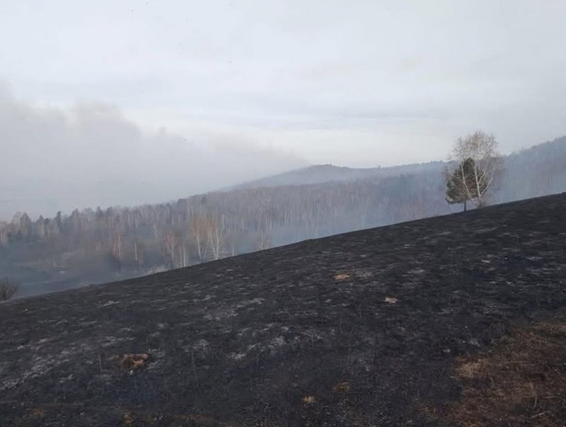Сэлэнгэ аймгийн Хүдэр суманд гарсан ойн түймрийг цурманд орууллаа