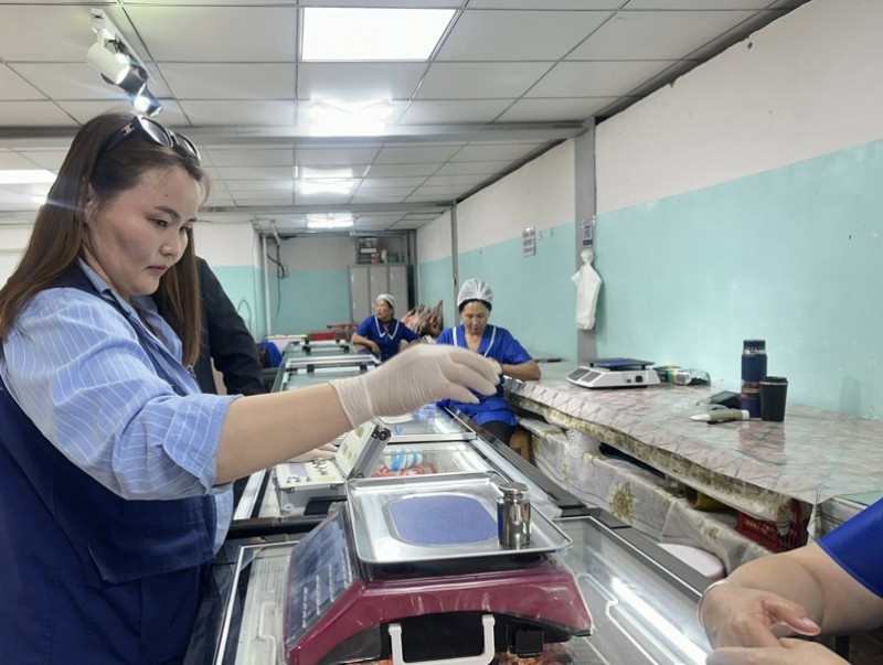 Хяналт шалгалт Говьсүмбэр аймагт үргэлжилж байна