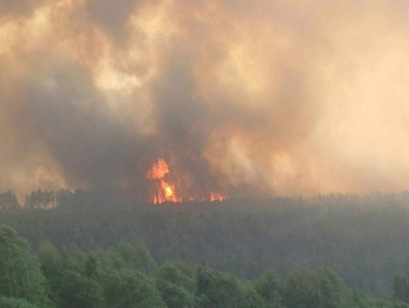 Домогт Тужийн нарс шатаж байна