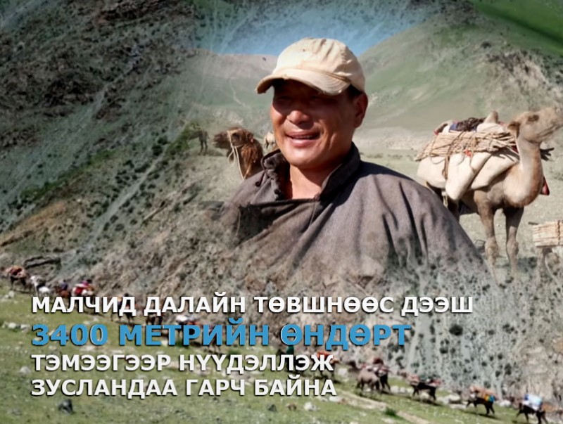 Малчид далайн төвшнөөс дээш 3400 метрийн өндөрт тэмээгээр нүүдэллэж зусландаа гарч байна