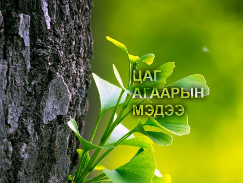 ЦАГ АГААР: Улаанбаатарт өдөртөө 29 хэм дулаан