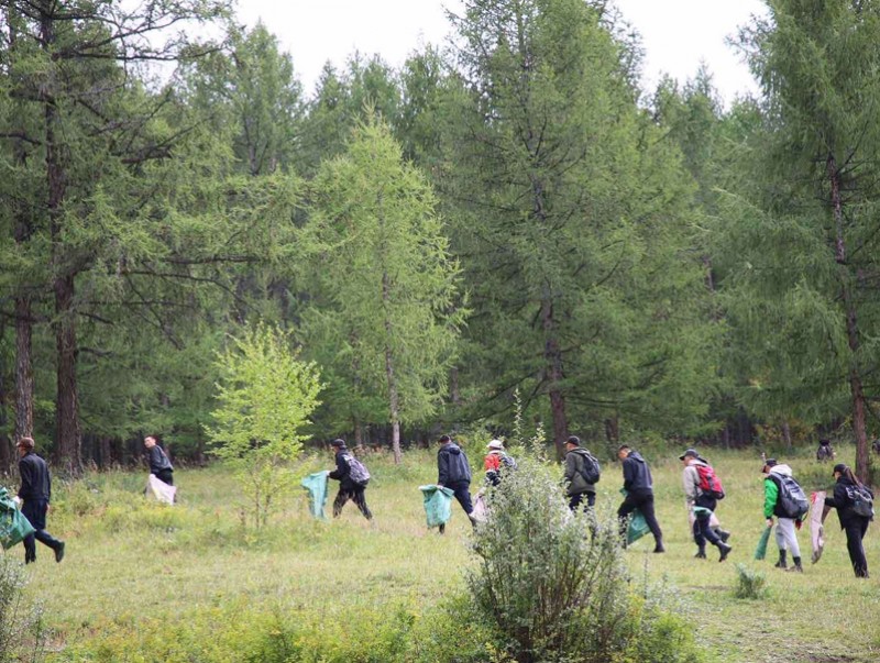 Улаанбаатар хотын ногоон бүсийг цэвэрлэж байна