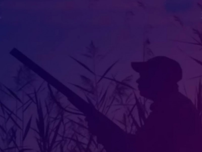 Амьтан хууль бусаар агнах гэмт хэргийн тохиолдол буурахгүй байна