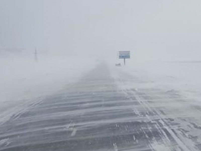 Төөрсөн сураггүй болсон 3 удаагийн дуудлага бүртгэгдэж, эрлийн ажиллагааг зохион байгууллаа