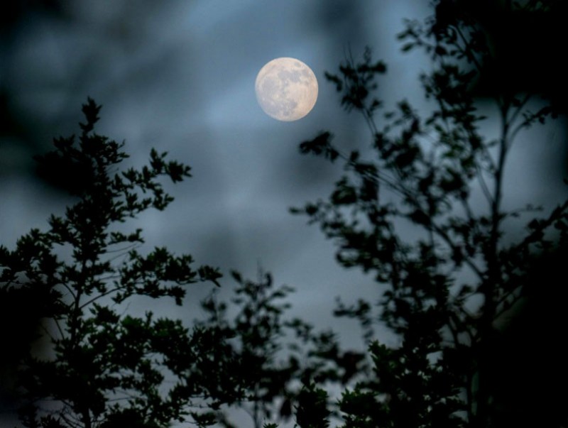 ЦАГ АГААР: Улаанбаатарт шөнөдөө 25 хэм хүйтэн