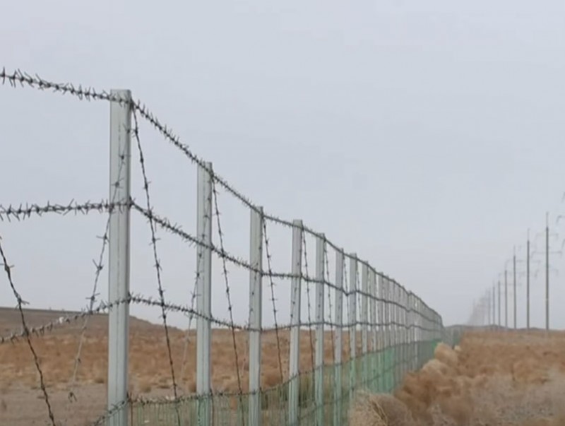 Сүүлийн хоёр жилд төмөр замын торонд 3000 орчим цагаан зээр, хулан хорогджээ