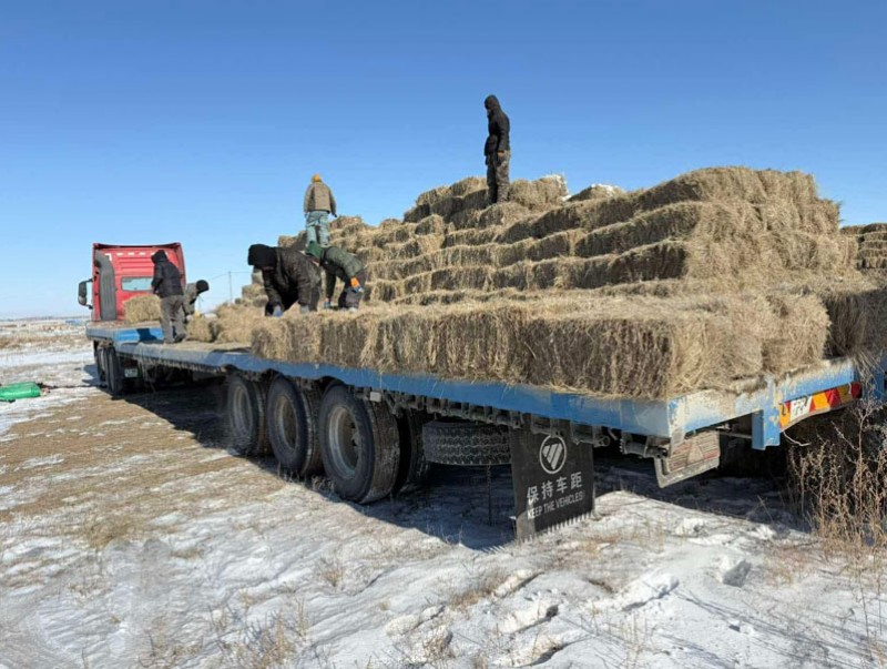 Нийслэлд боодол өвс дунджаар 10 мянган төгрөгийн ханштай байна