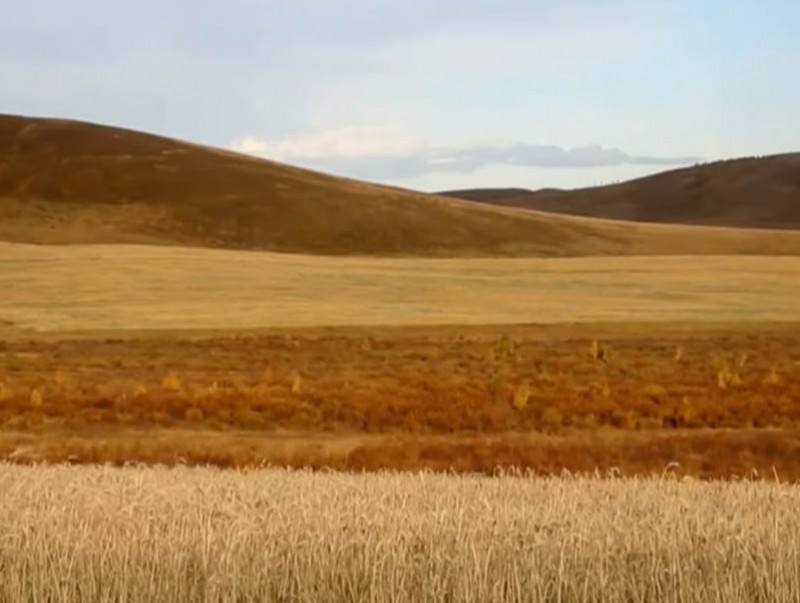 Энэ жил 370 орчим мянган га талбайд үр тариа, 18 мянган га талбайд хүнсний ногоо тариалахаар төлөвлөжээ