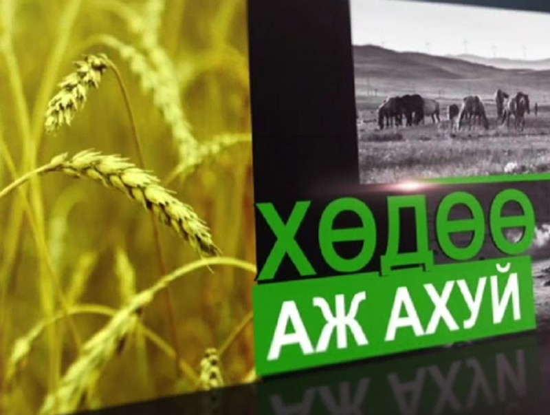 ЖДҮ-ийг хөгжүүлэх сангийн зээлийн эргэн төлөлтийн хугацааг 2 жилээр сунгаж 7 жил болгохоор судалж байна