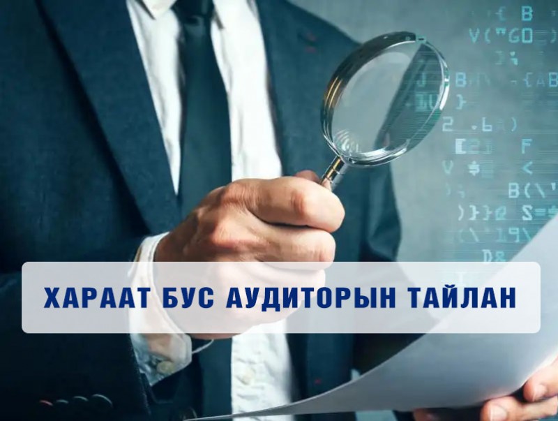 Хараат бус Аудиторын тайлан