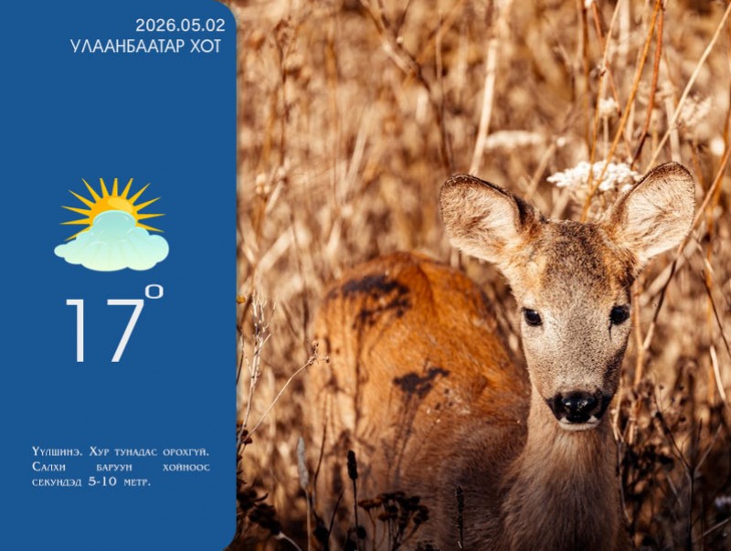 ЦАГ АГААР: Улаанбаатарт өдөртөө 17 хэм дулаан