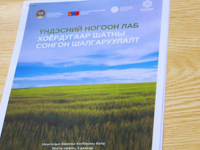 “Үндэсний ногоон лаб” платформын хүрээнд 12 төслийг сонгон шалгаруулна