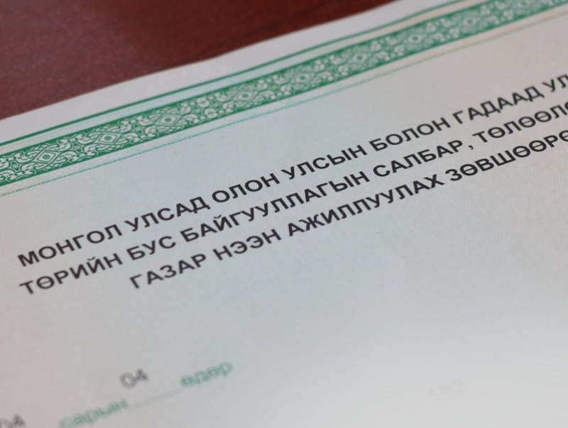 Монгол Улсад олон улсын болон гадаад улсын төрийн бус байгууллагын 72 салбар, төлөөлөгчийн газар үйл ажиллагаа явуулж байна