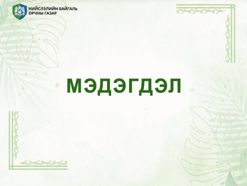 Нийслэлийн байгаль орчны газар мэдэгдэл гаргалаа