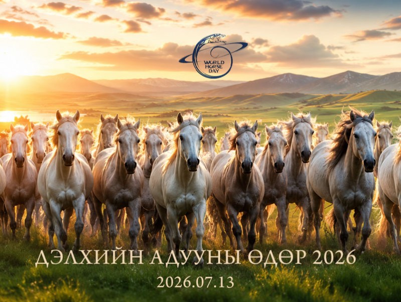 Дэлхийн адууны өдөр Хүй долоон худагт нээлтээ хийнэ