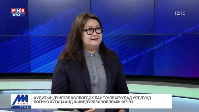 Нийслэлийн дулаан хангамжийн бэлэн байдал, дулаанаар хангах, түгээх үйл ажиллагаанд аудит хийлээ