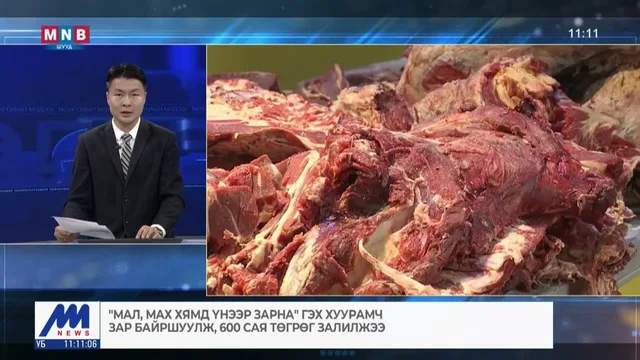 "Мал, мах хямд үнээр зарна" гэх хуурамч зар байршуулж, 600 сая төгрөг залилжээ