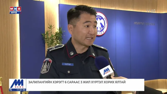 Залилангийн хэрэгт 6 сараас 3 жил хүртэлх хорих ялтай
