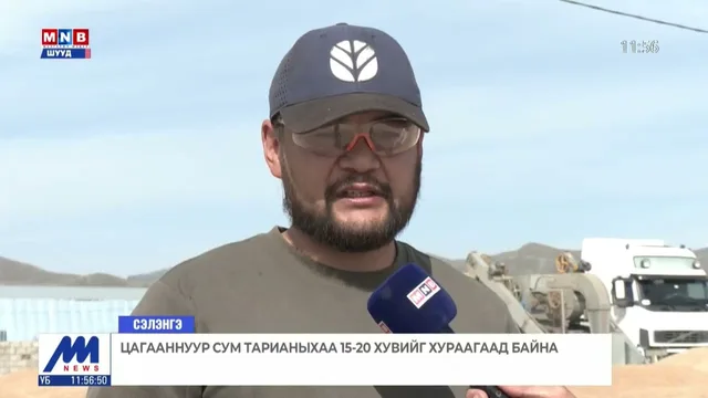 Цагааннуур сум тарианыхаа 15-20 хувийг хураагаад байна