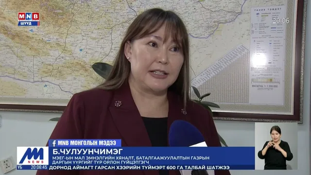 Амьд хонины экспортод хяналт, шалгалтыг сайжруулах нь чухал байна