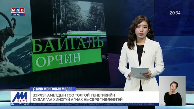 Зэрлэг амьтдын судалгаанд үндэслэн тусгай сонирхлын агнуур хийх зөвшөөрөл олгох нь чухал байна