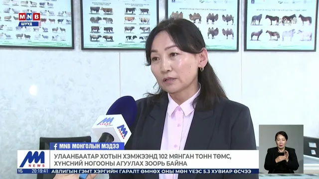 Улсын хэмжээнд төмс, хүнсний ногоо хадгалах 320 гаруй мянган тонн багтаамжтай агуулах байна