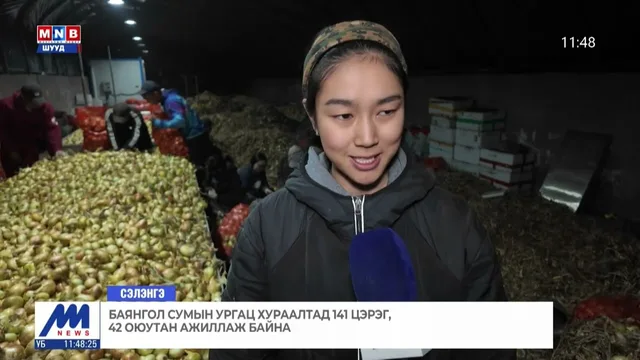 Баянгол сумын ургац хураалтад 141 цэрэг, 42 оюутан ажиллаж байна