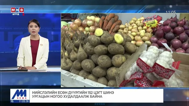 Нийслэлийн есөн дүүргийн 152 цэгт шинэ ургацын ногоо худалдаалж байна