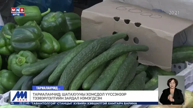 Шатахууны тасалдал тариаланчид хүнсний ногоогоо тээвэрлэхэд хүндрэл үүсгэж байна