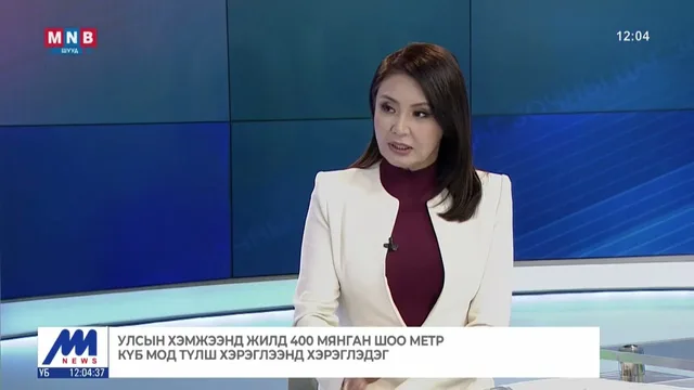 Улсын хэмжээнд жилд 400 мянган шоо метр күб мод түлш хэрэглээнд хэрэглэдэг