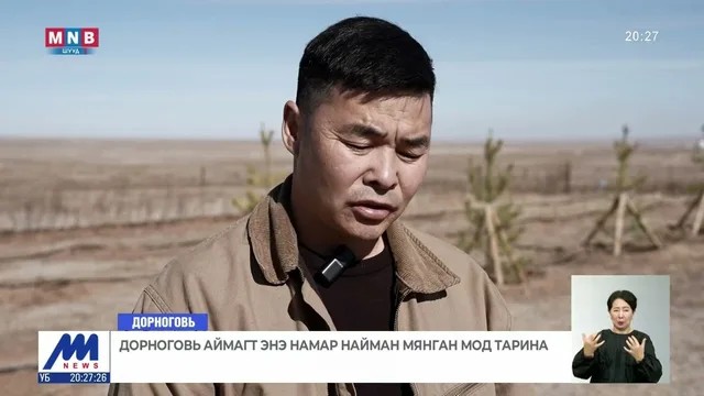Дорноговь аймагт нутгийн онцлогт тохирсон мод, бут түлхүү тарьж байна