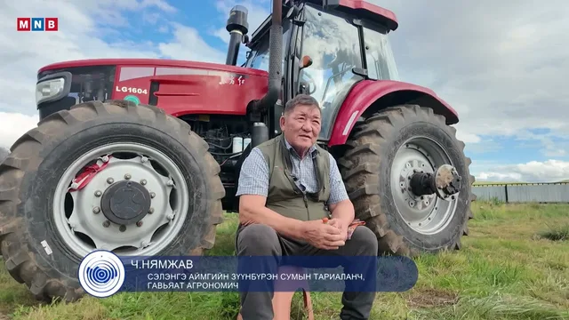 Тасрах ёсгүй долгион #3